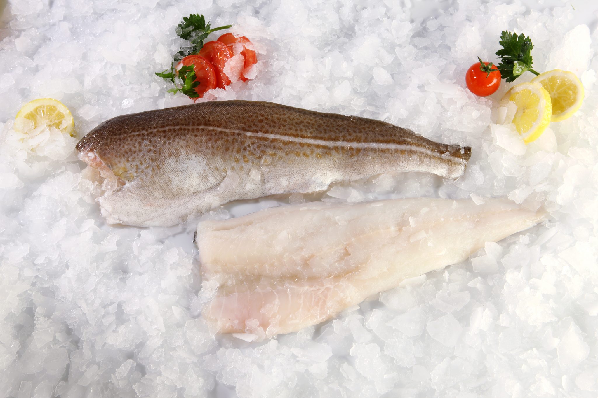 hake-fillet-cod-gaia-frozen-food